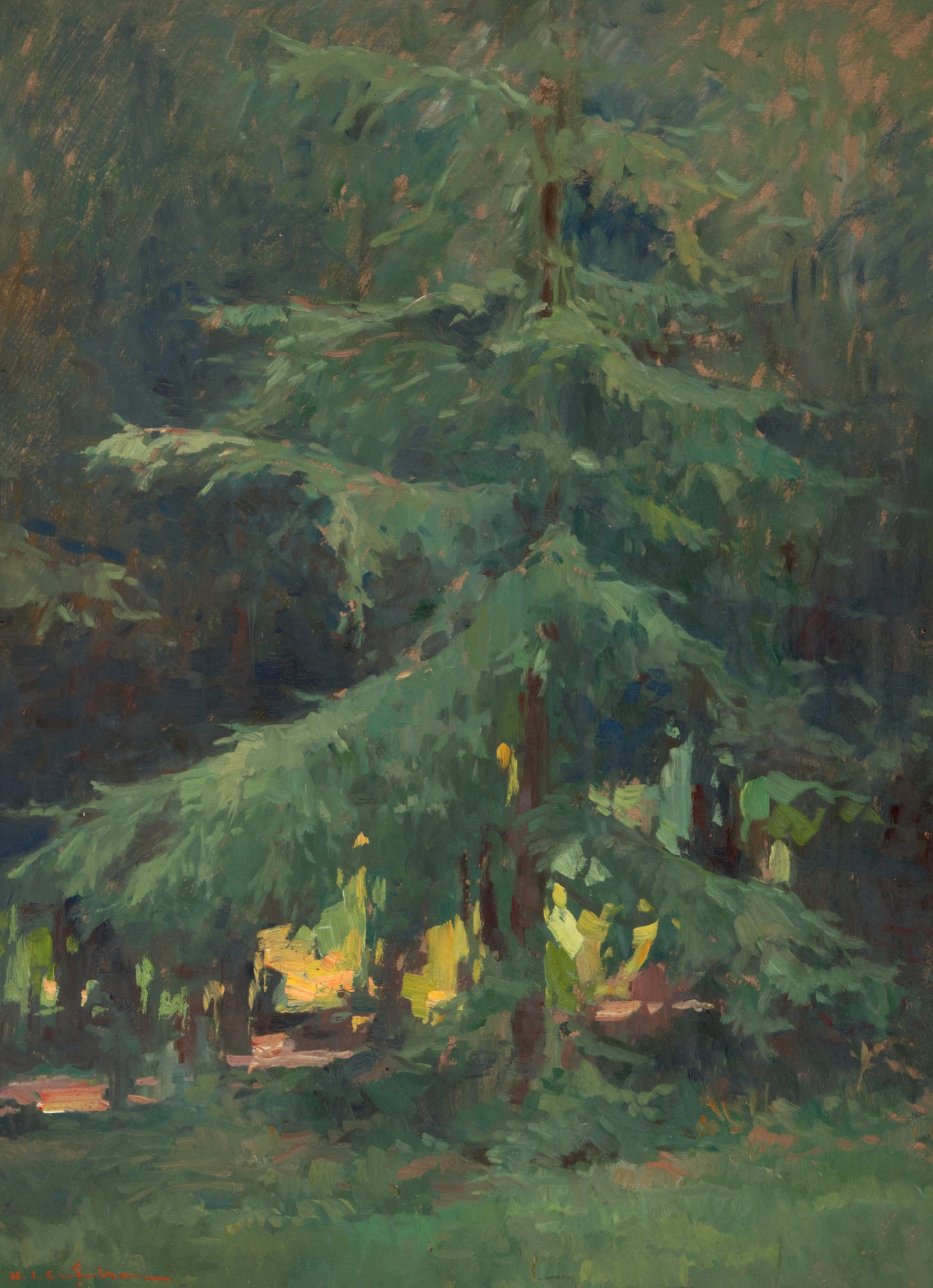 In the heart of the forest