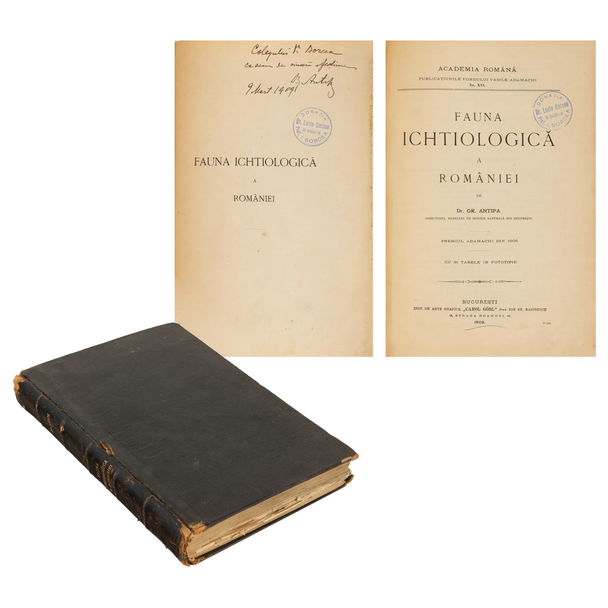”Fauna ichtiologică a României”, de Grigore Antipa, București, 1909, cu dedicația și semnătura olografe ale autorului către colegul Ioan Borcea, piesă foarte rară, de colecție
