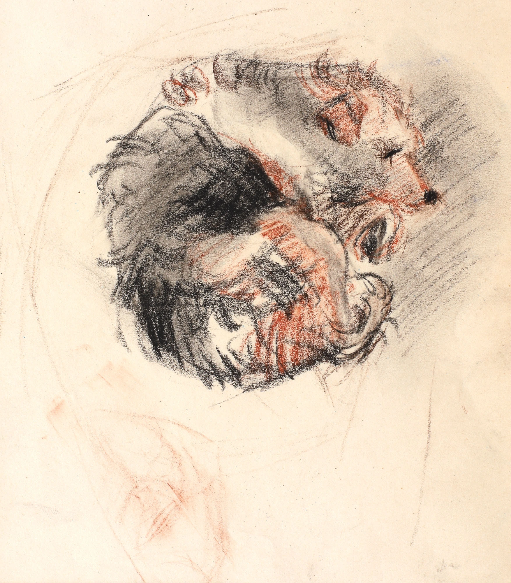 The Artist's Dog