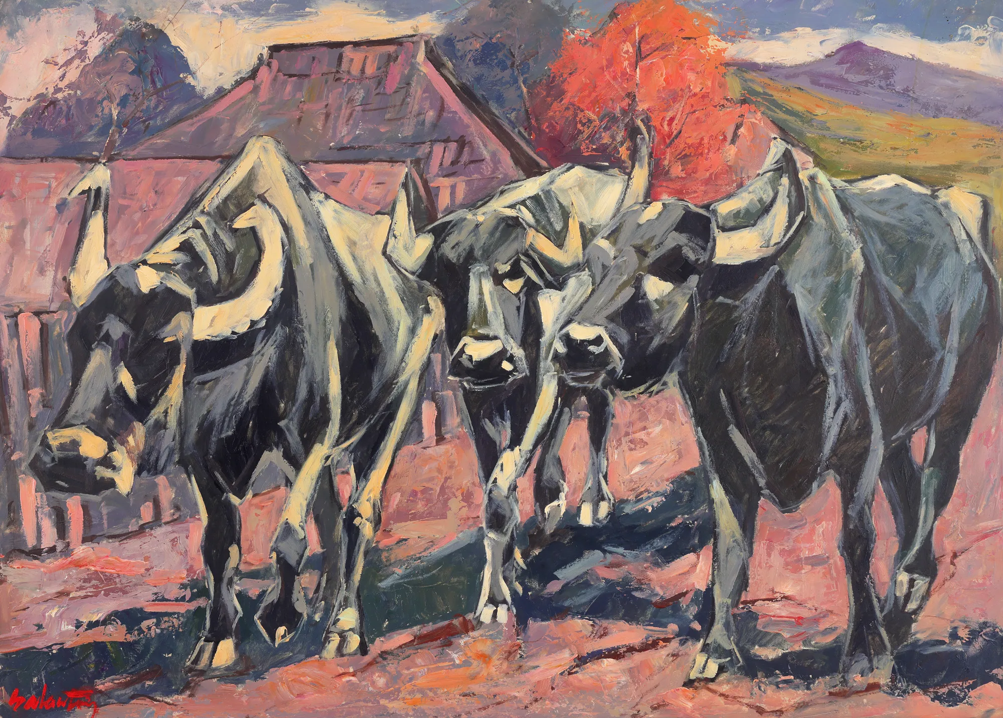 Buffalos on the Street