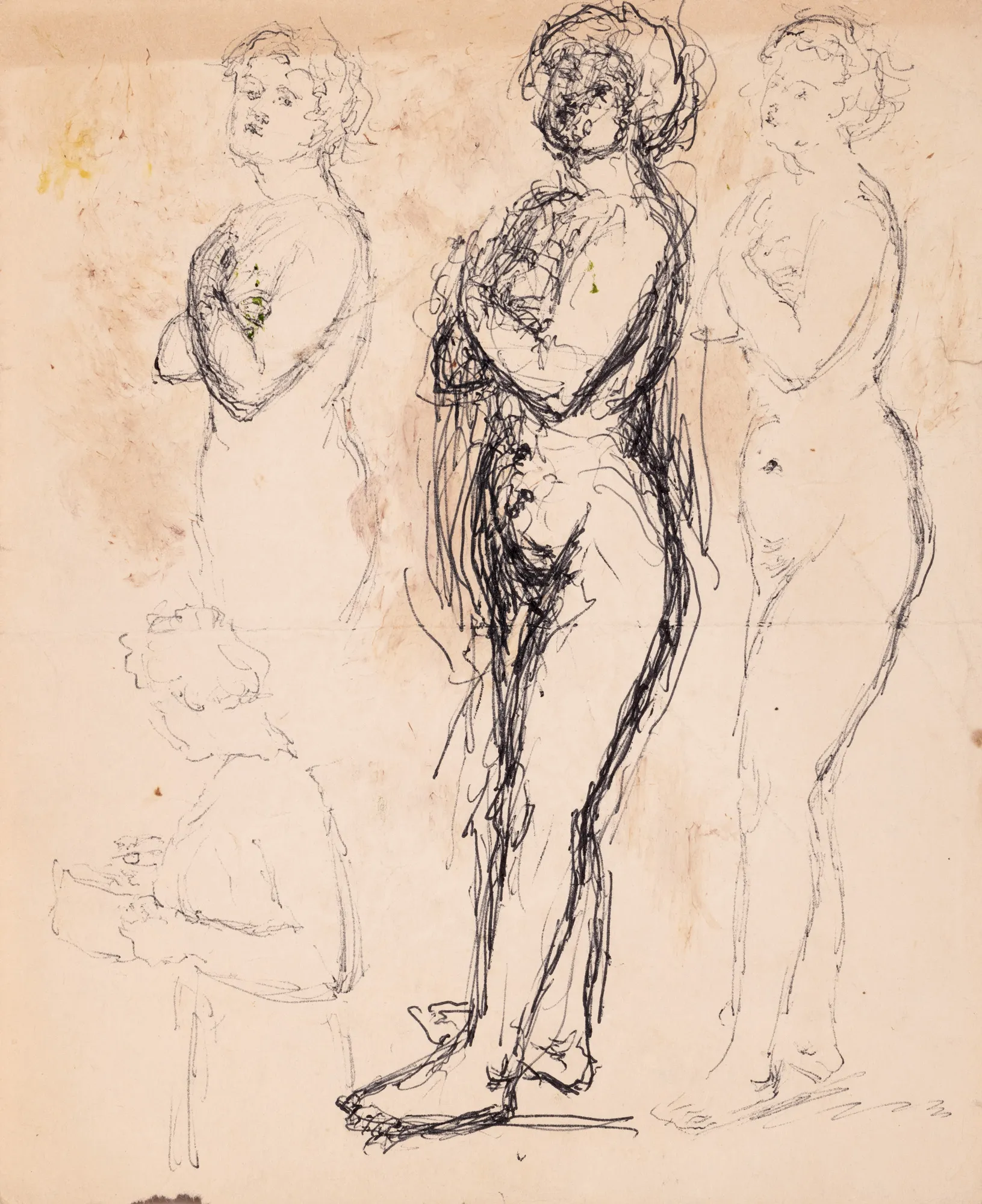 Poses (Studies)