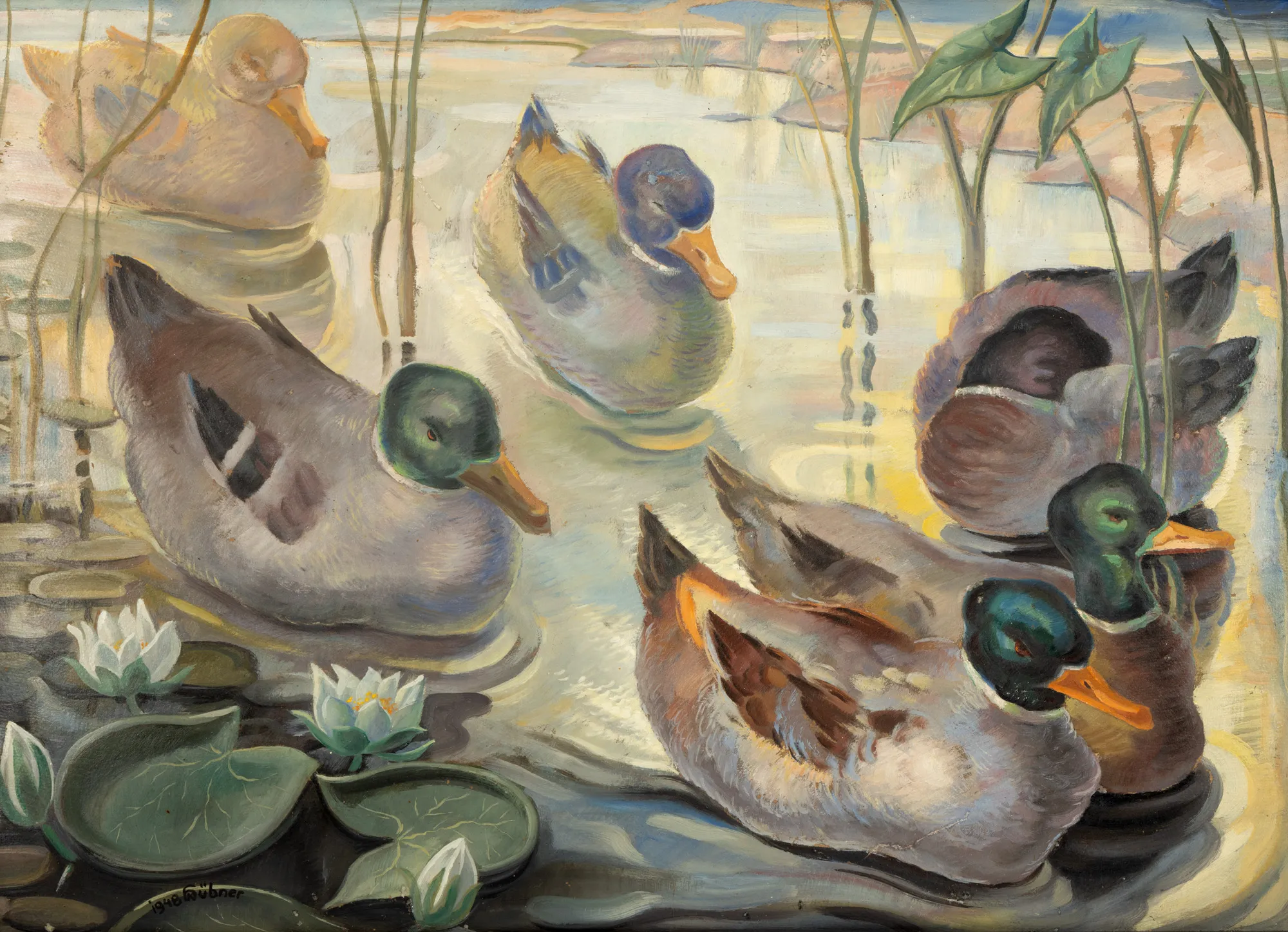 Ducks