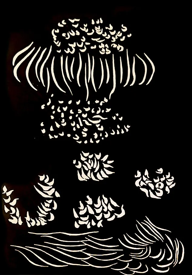 Nocturnal Flowers