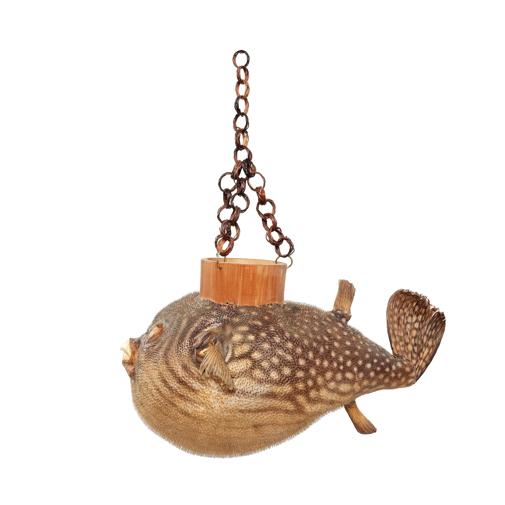 Balloon Fish Lamp