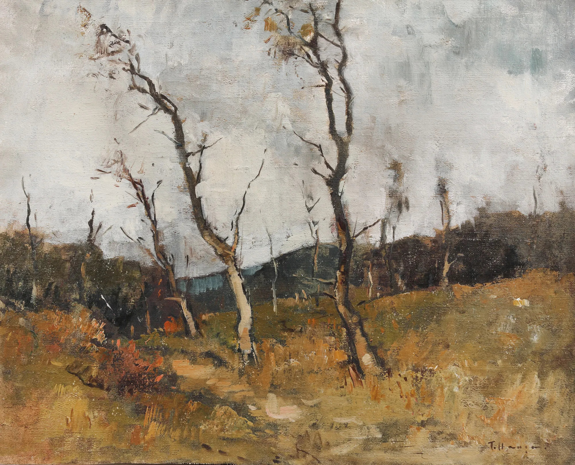 Autumn Landscape
