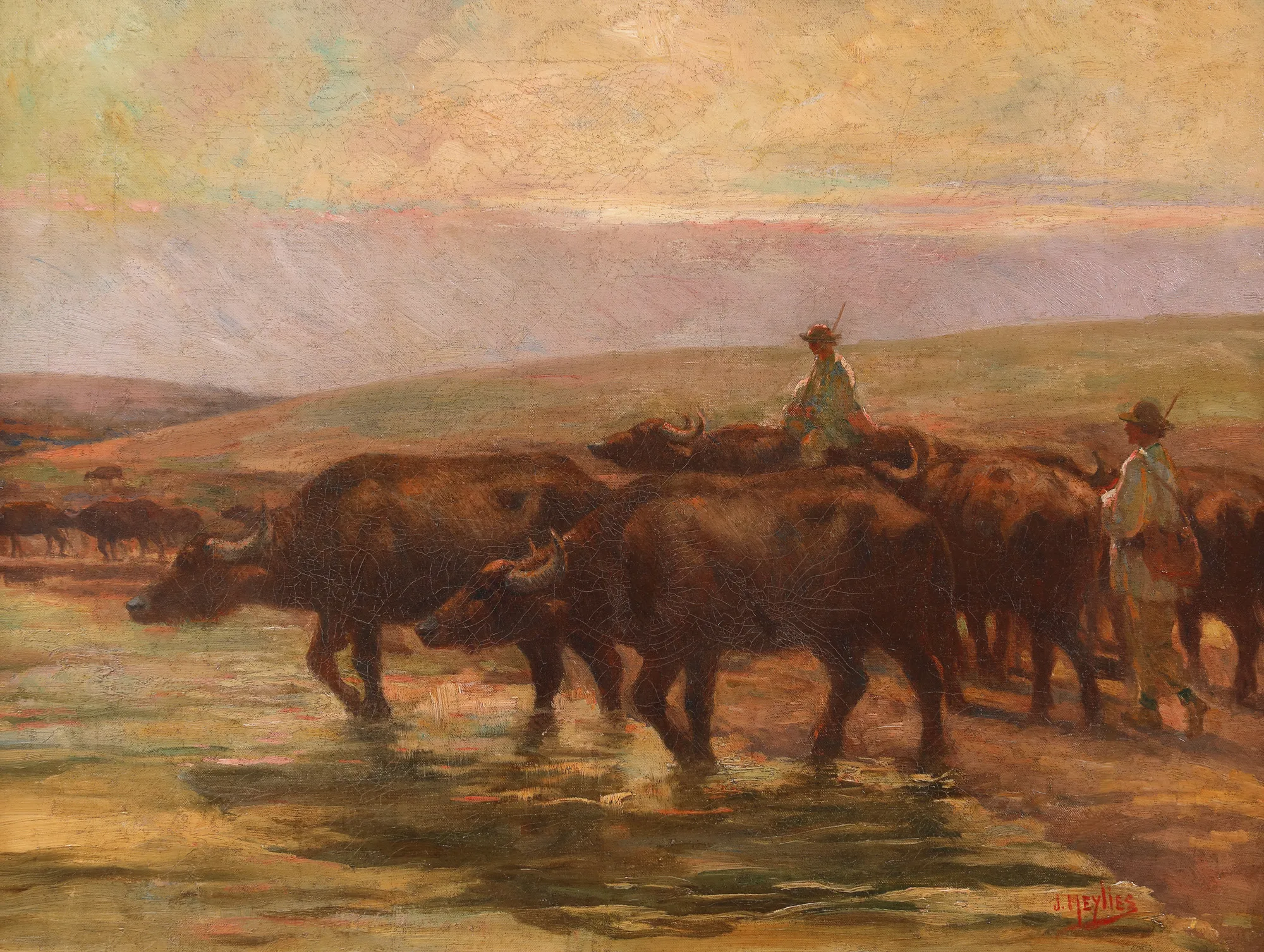 Return of the Buffaloes