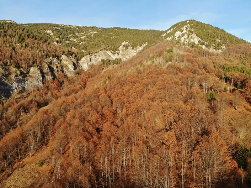 Răstignirea lui Hristos