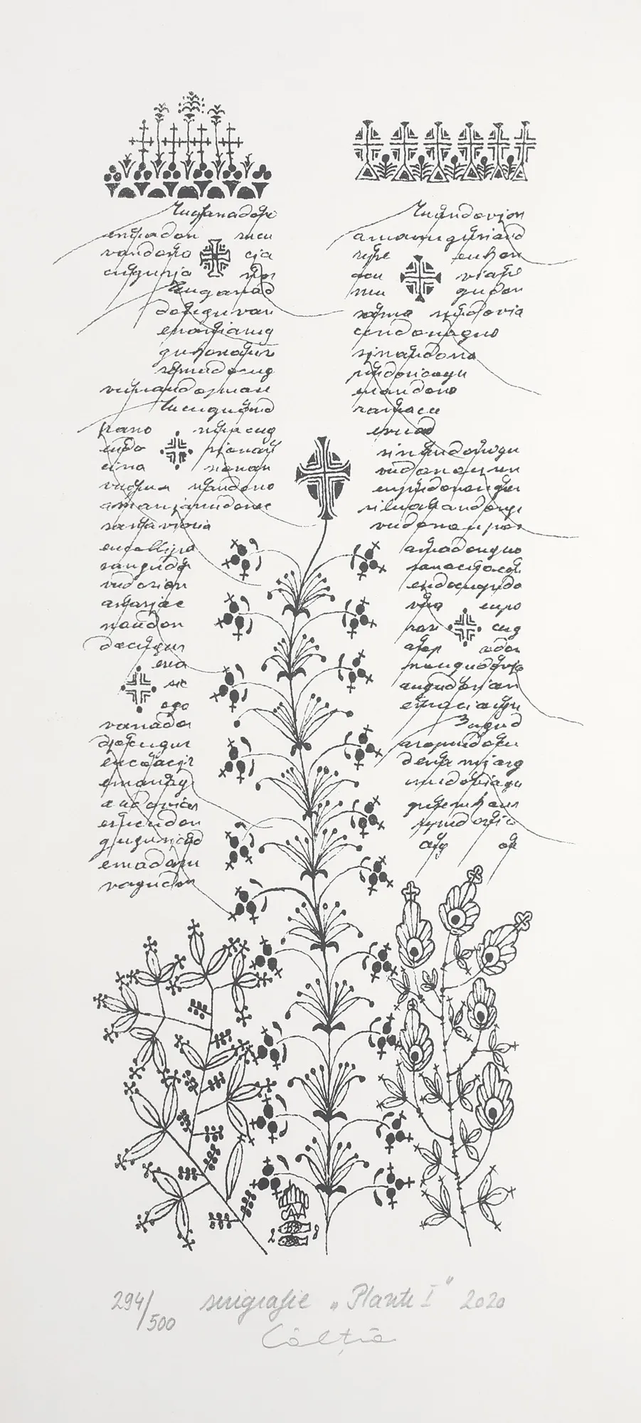 Plant