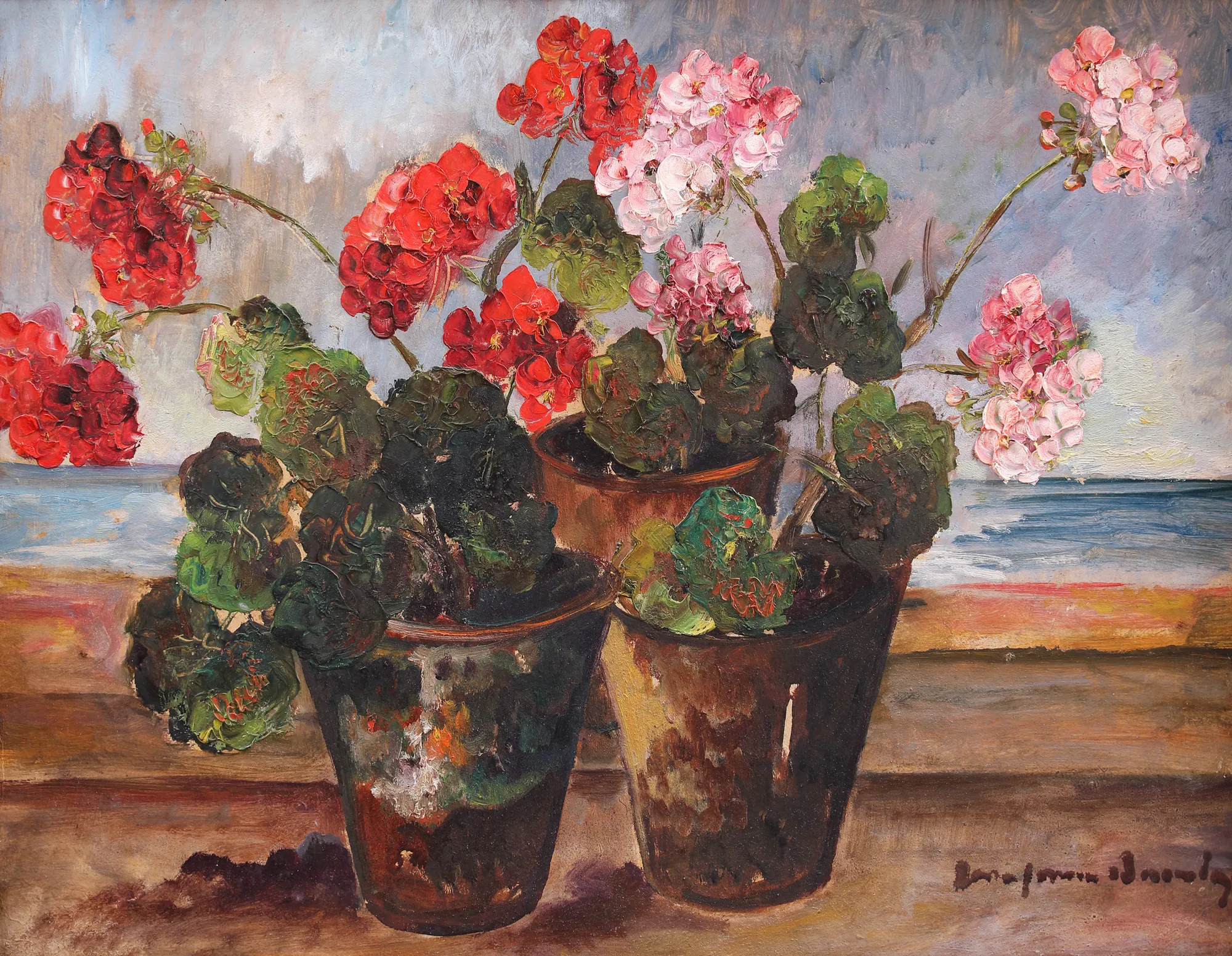 Geraniums