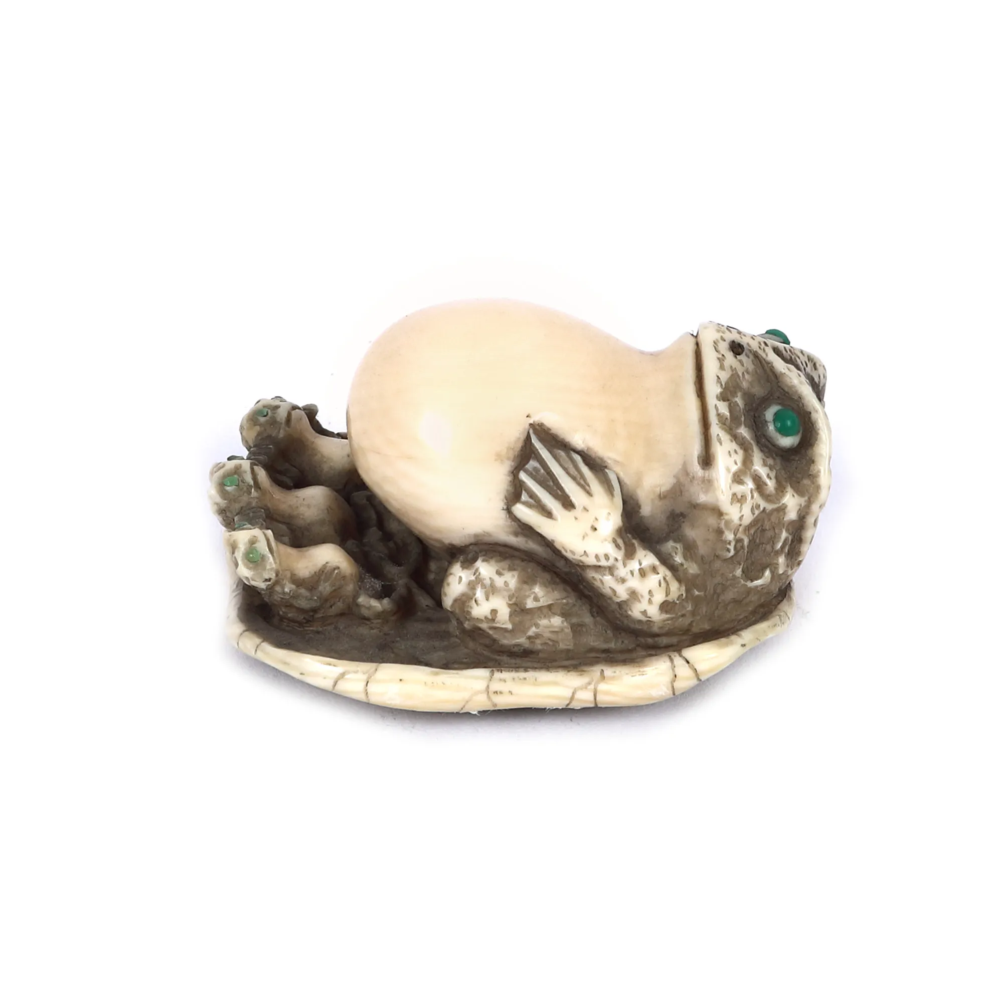 Netsuke made of ivory, representing a frog with a little frog on a leaf, signed by Tomokazu, Edo period, Japan, 19th century