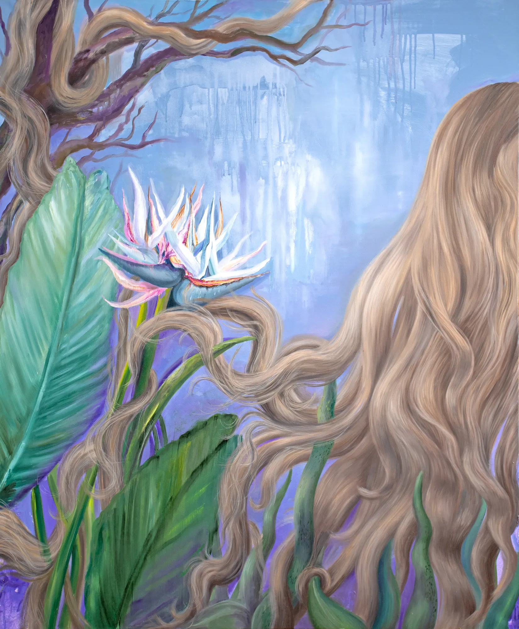 Breath of Wilderness
