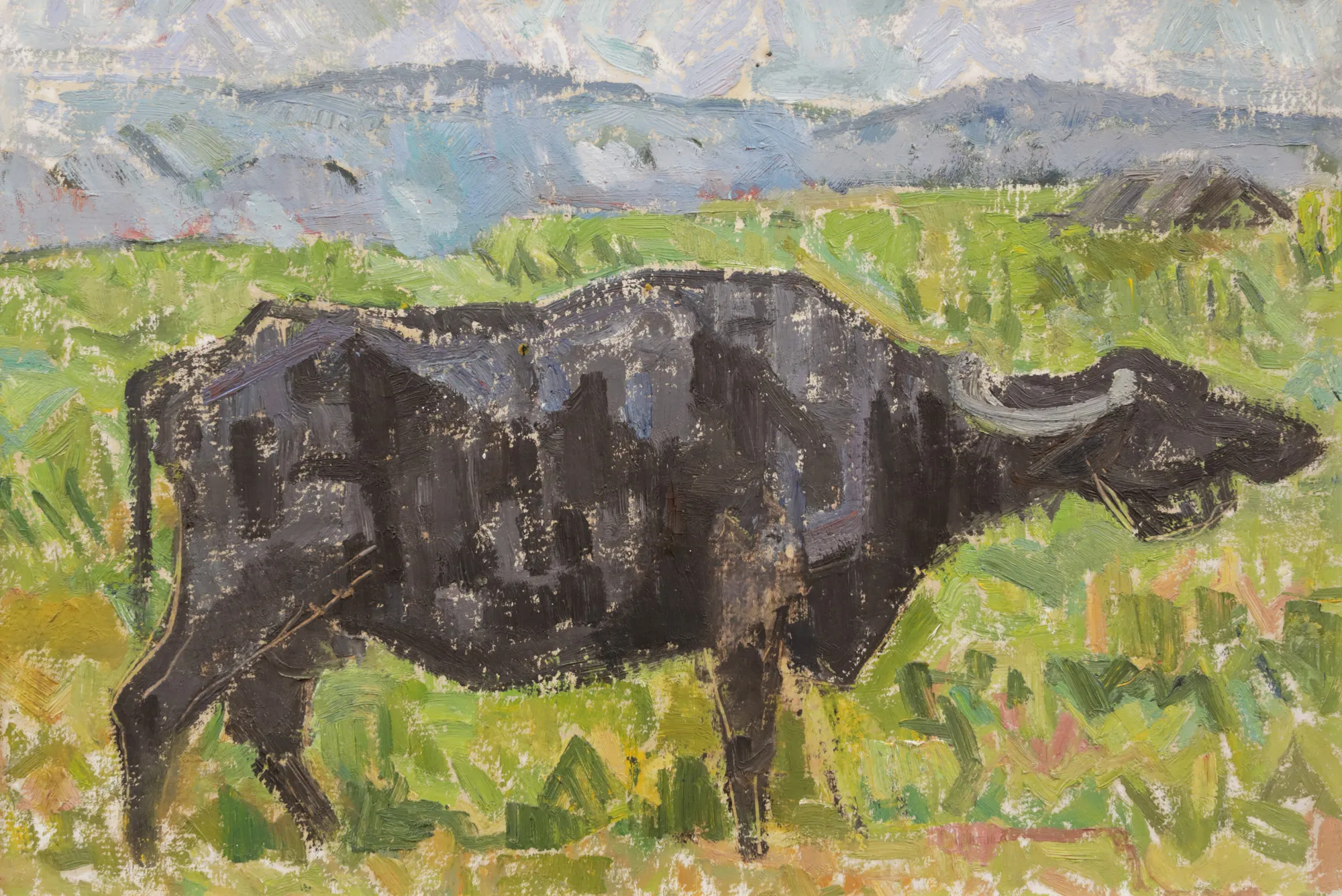 Buffalo