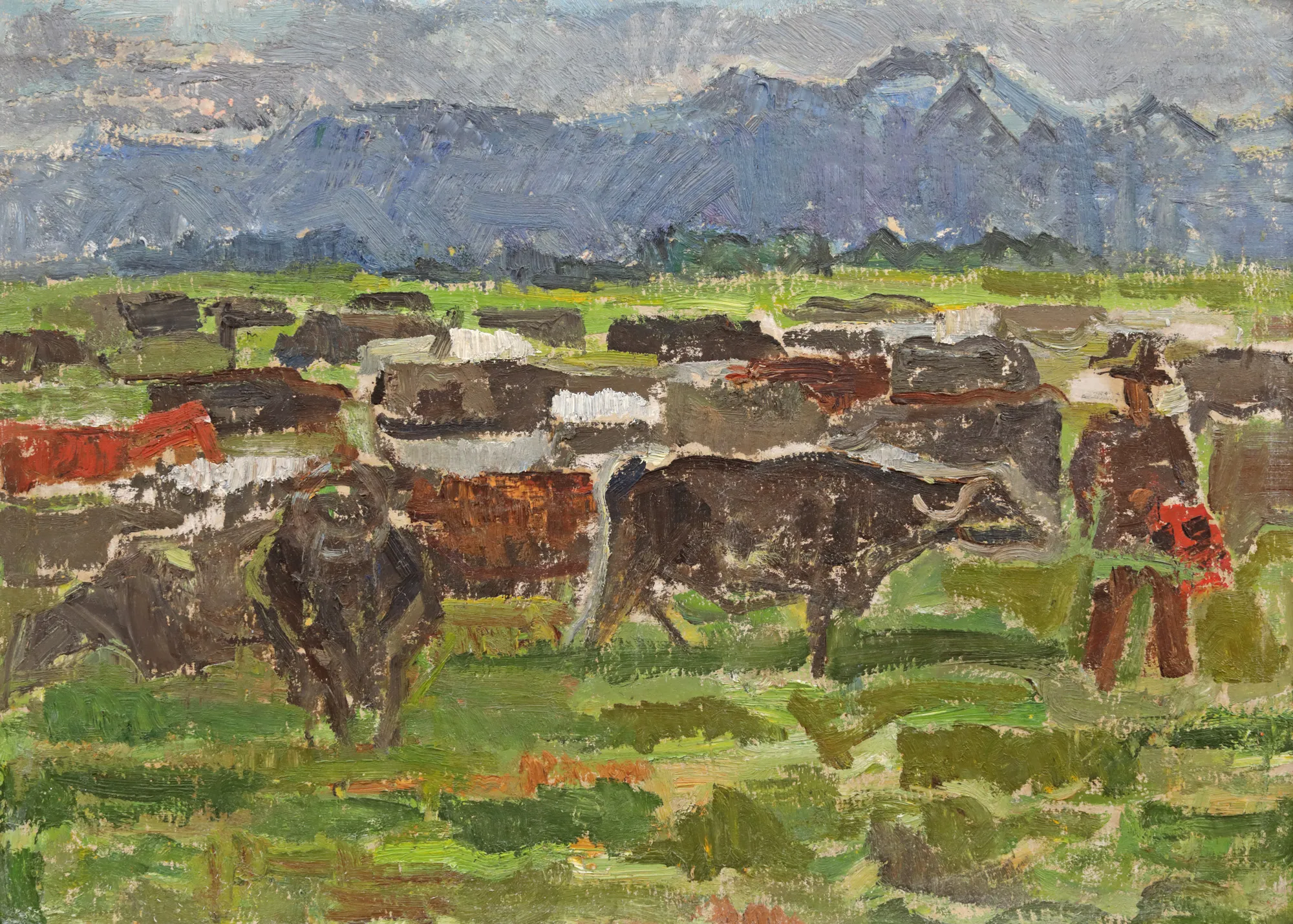 Landscape in Făgăraș