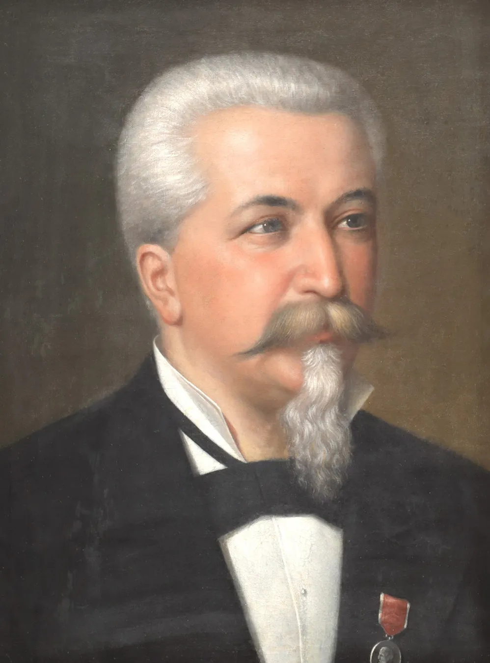 Un diplomat (decorat cu ordinul Franz Joseph)