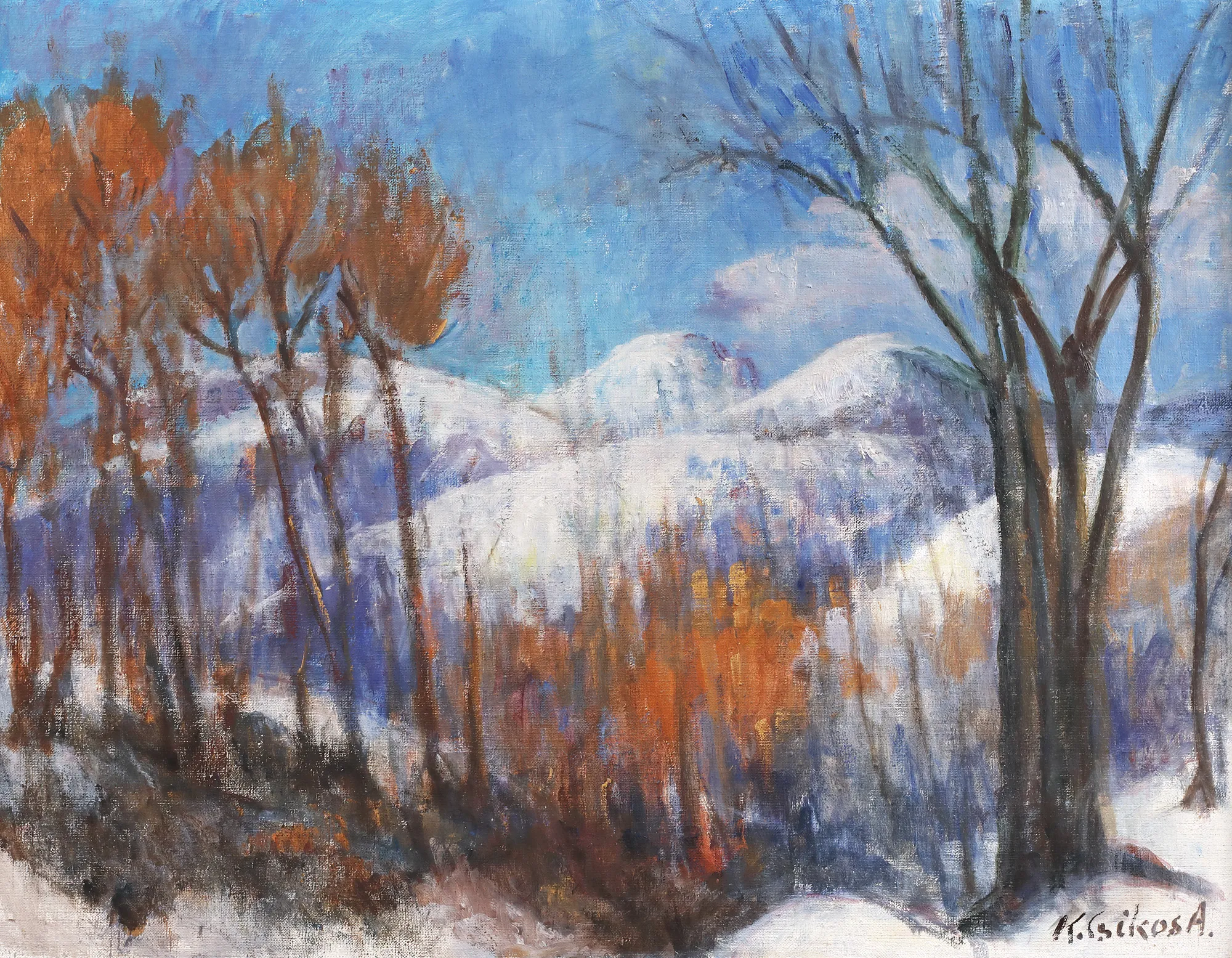 Winter at Mogoșa