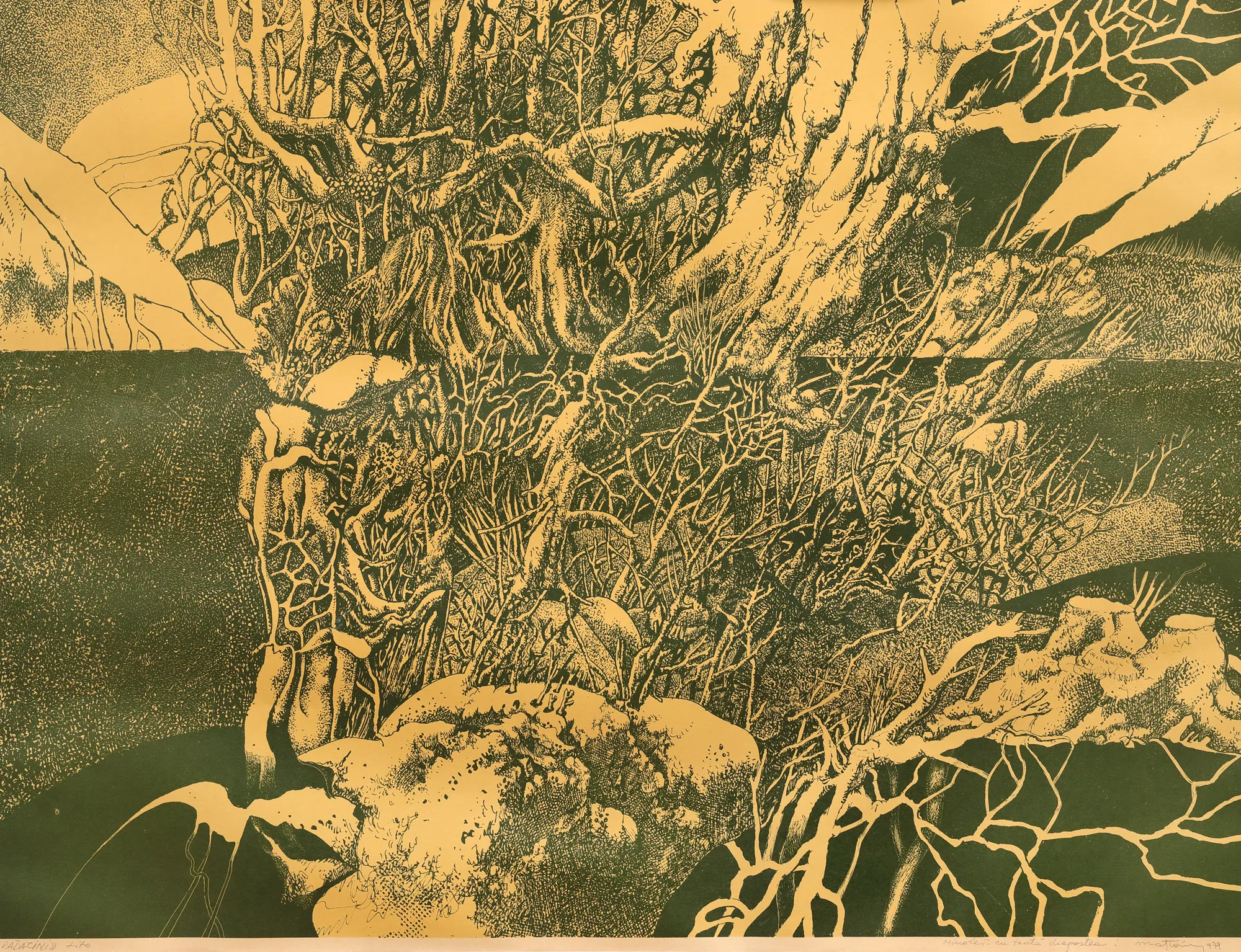 Roots