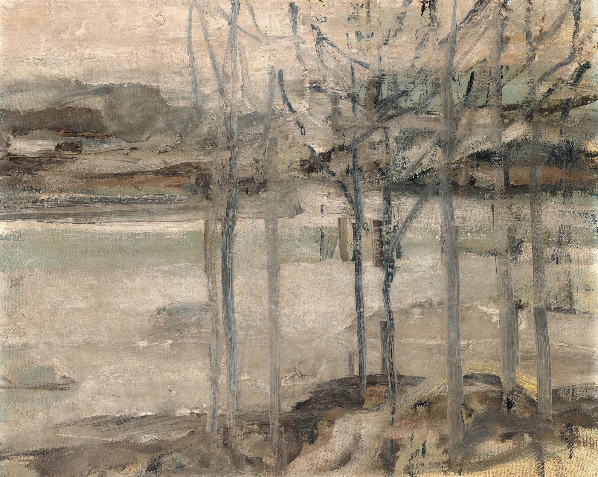 Lakeside Landscape