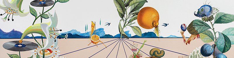 Licitația unei selecții de Grafică Europeană din două Colecții #349/2020