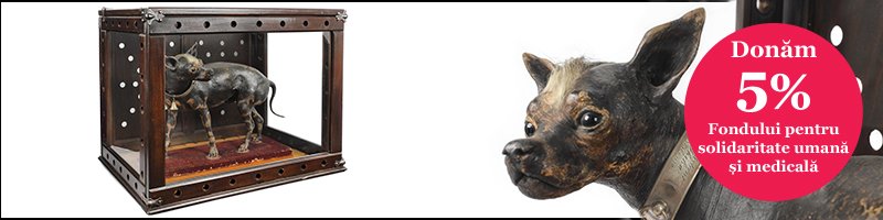 Licitația Vechi și Nou #363/2020