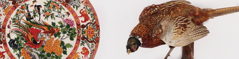 Licitația Animalia #212/2016