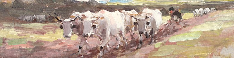 Licitația de Vară #329/2019