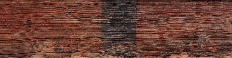 Licitația de Cărți Importante, inclusiv o selecție din colecția criticului literar Șerban Cioculescu #505/2023