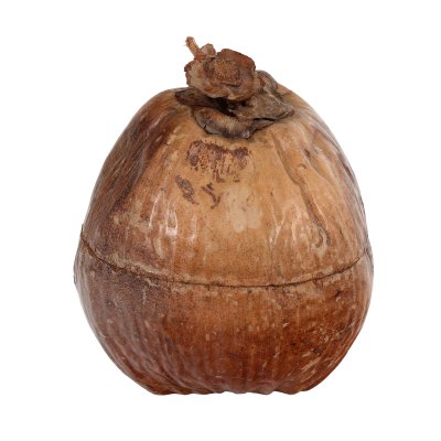 Ice holder, handcrafted from coconut, artist Morin Nocodaf Abidjan