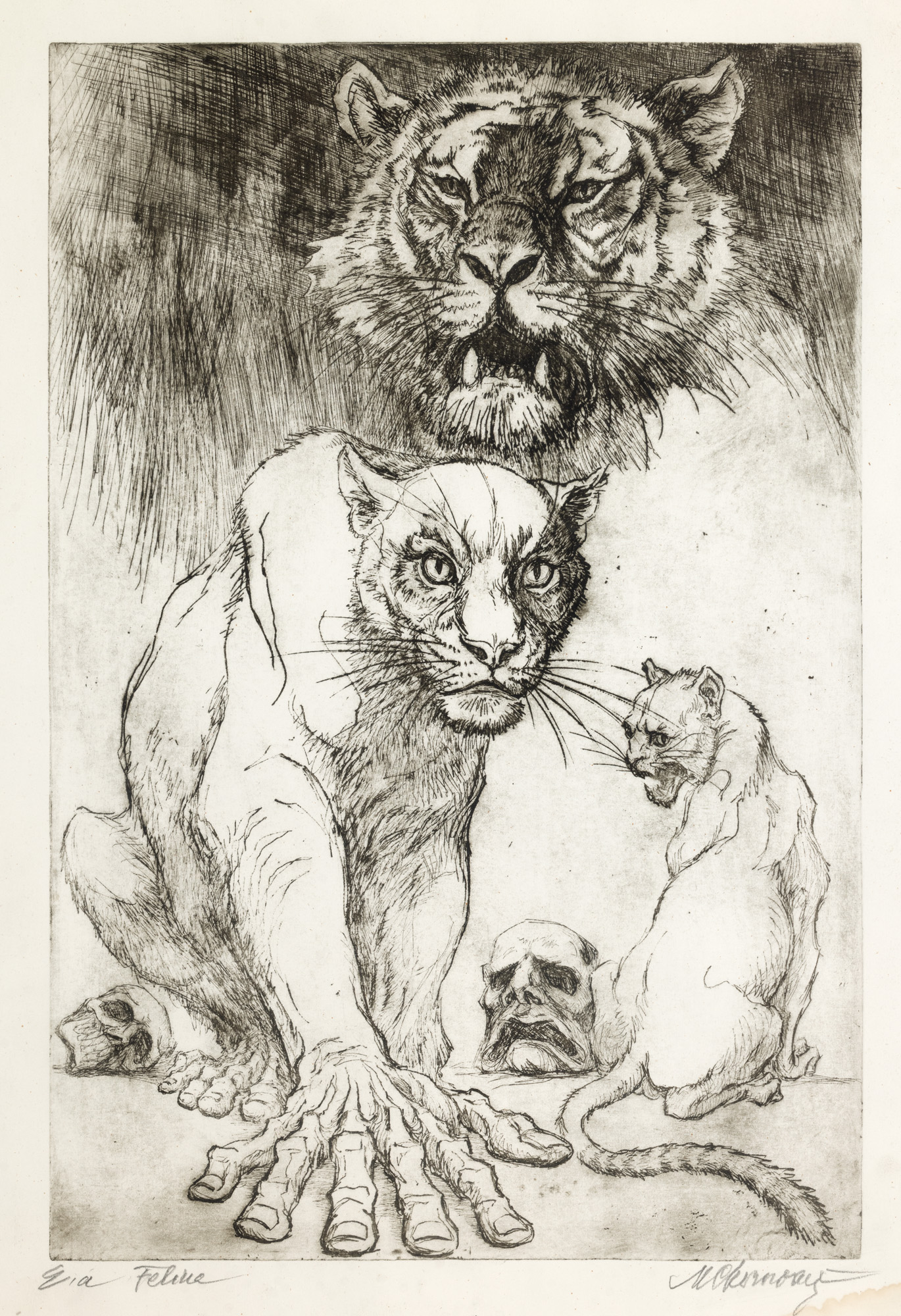 Feline