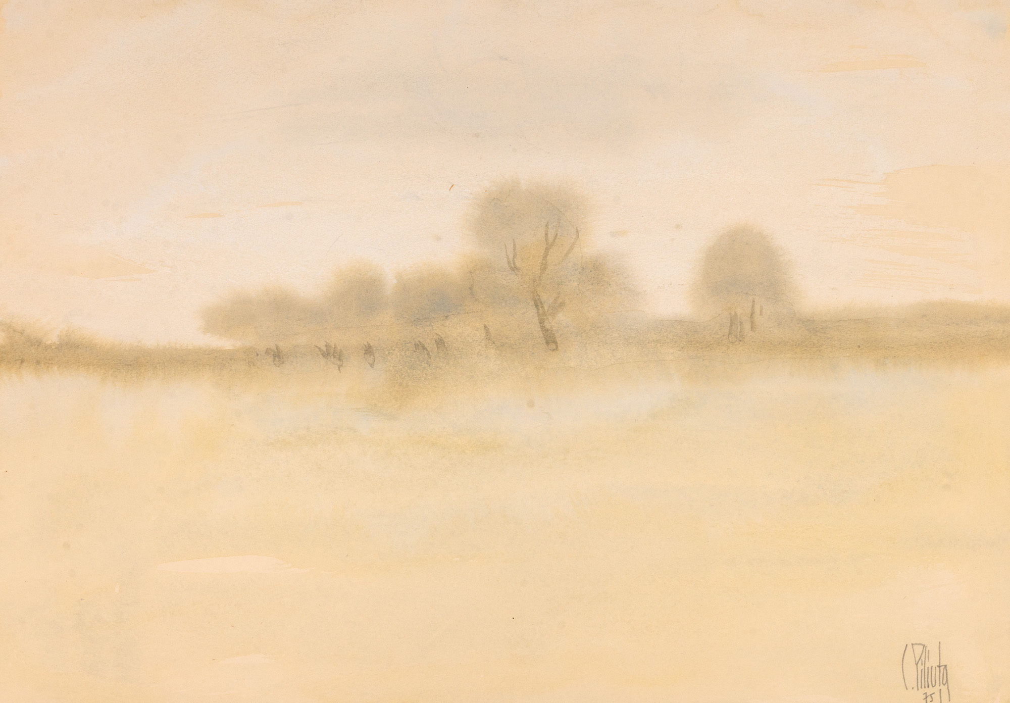 The Calm of a Morning