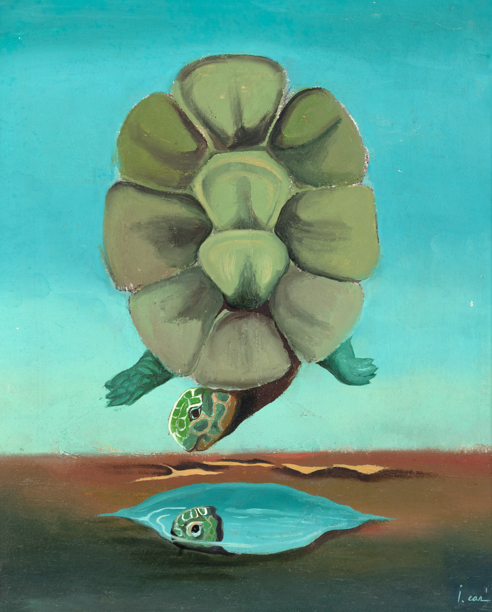 Surrealist Turtle