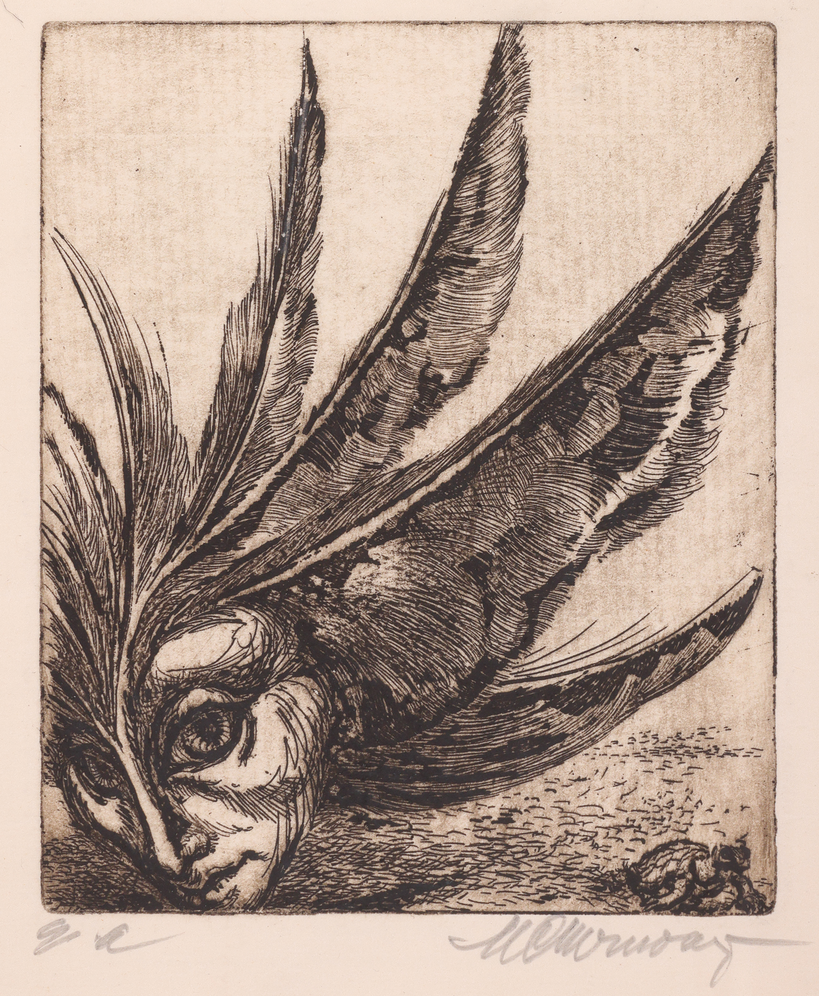 Tempest