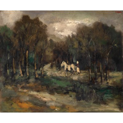 Peisaj pe Valea Argeșului