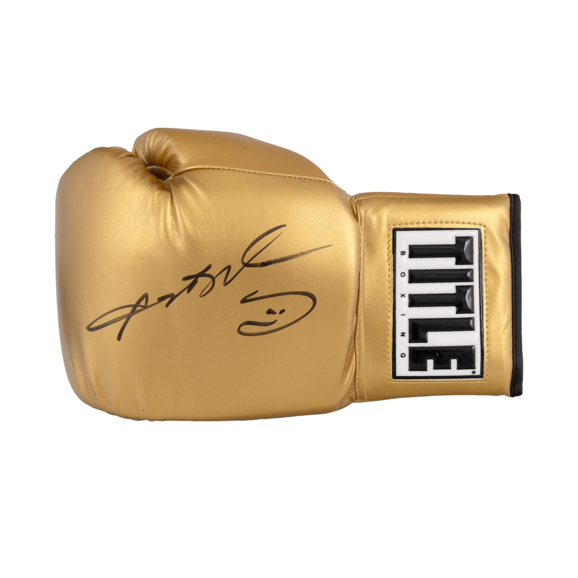 Boxing Glove, with Sugar Ray Leonard's Holographic Signature