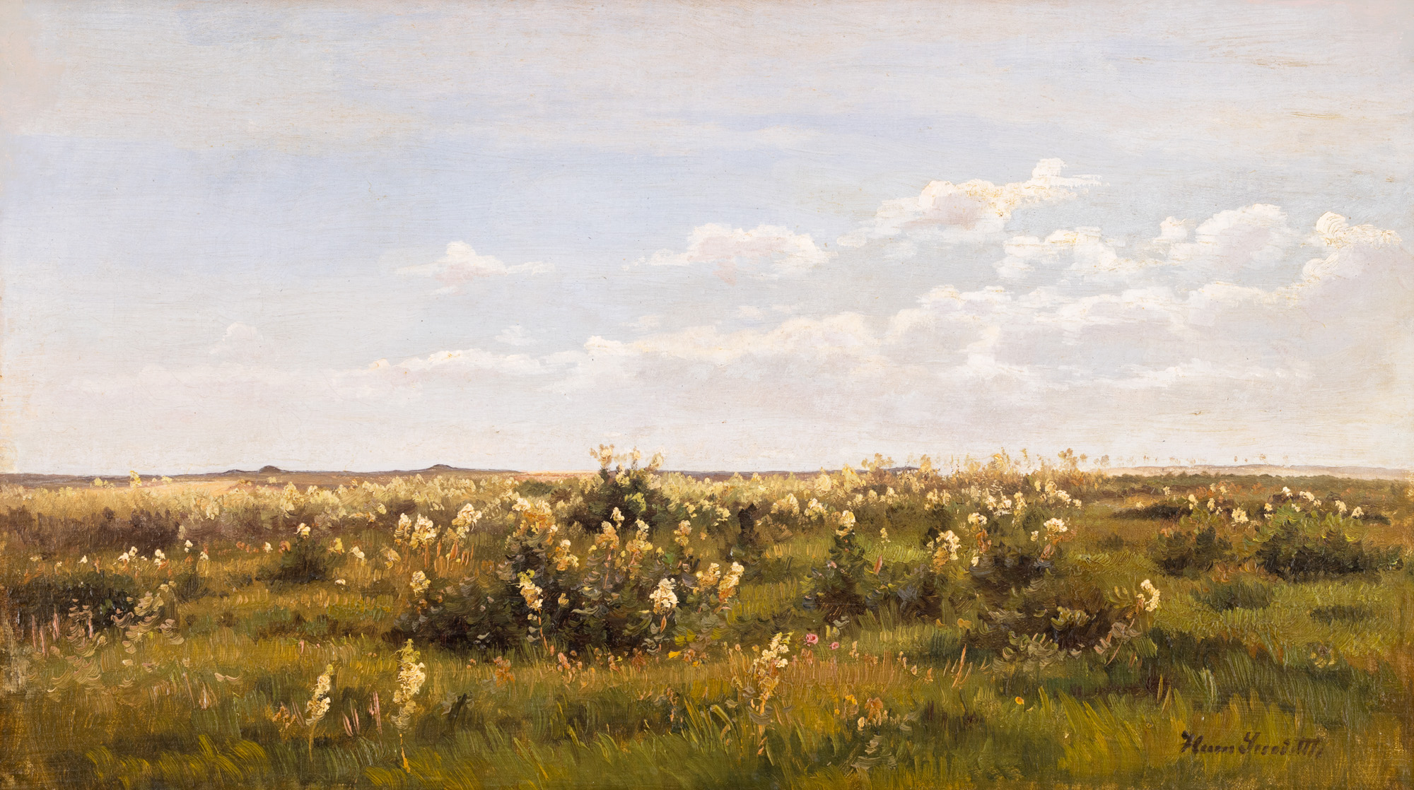 Landscape from Jutland