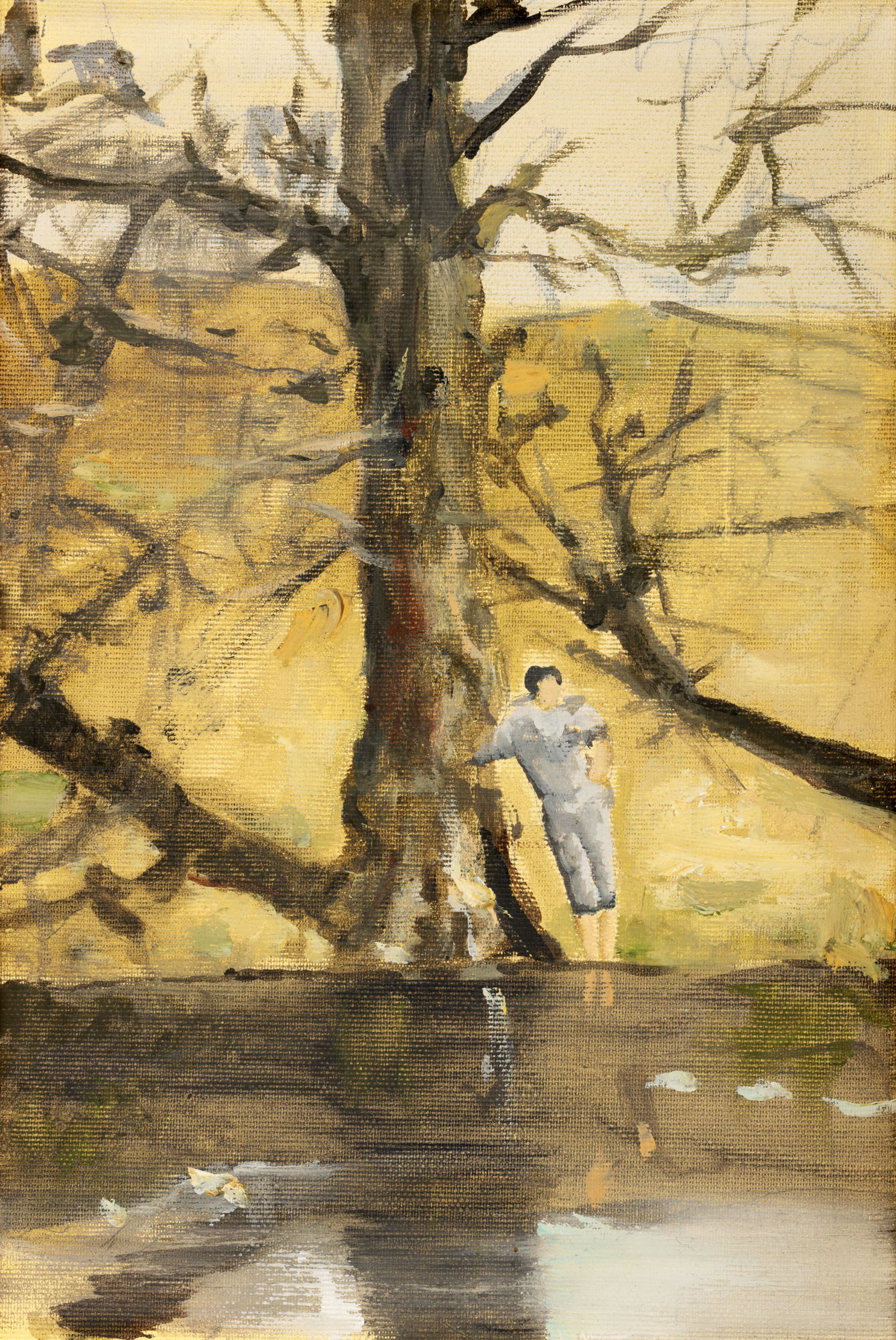 Outdoor Vulnerability