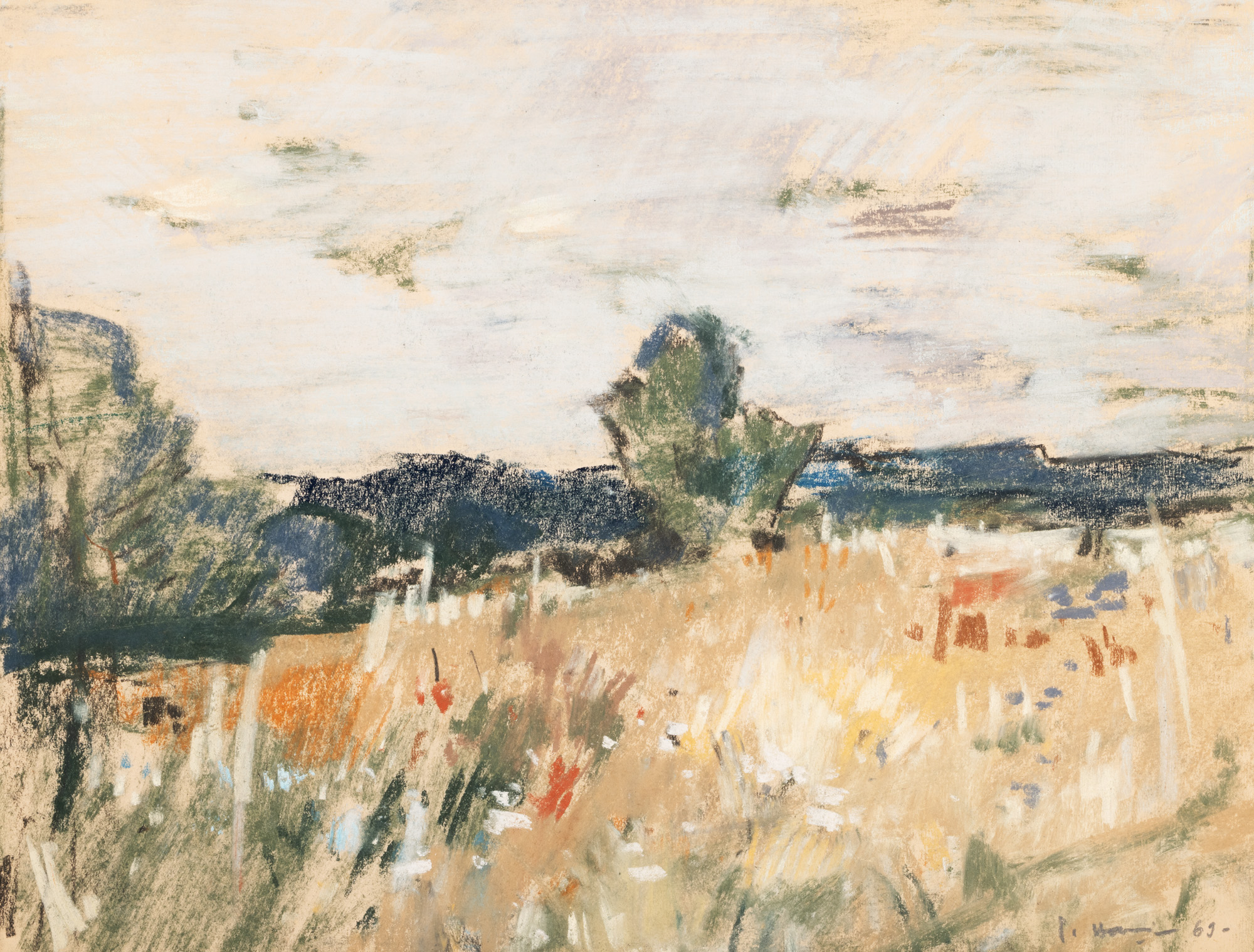 Summer Landscape