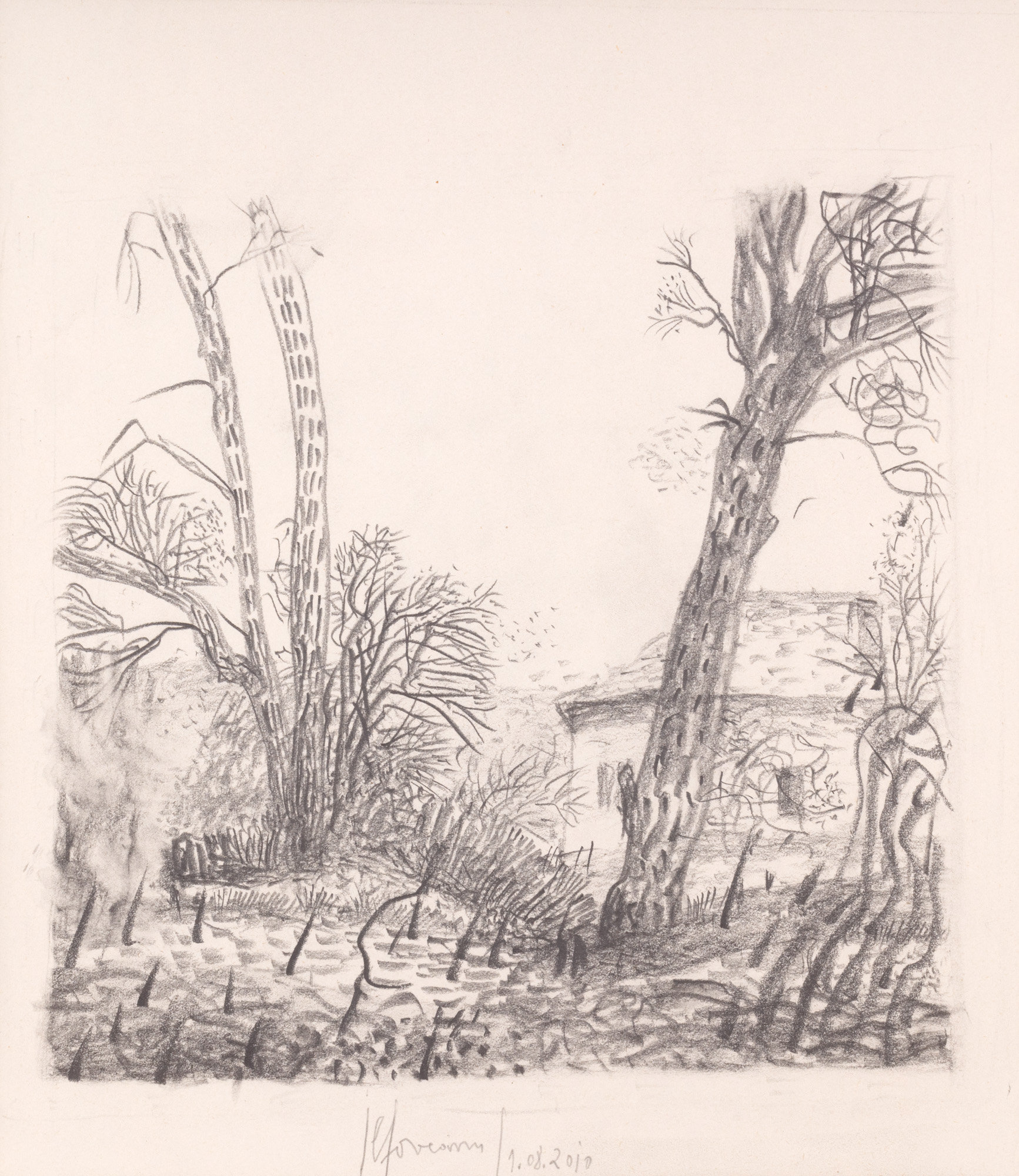 Landscape from Pițigaia
