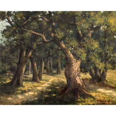 Path Through the Forest