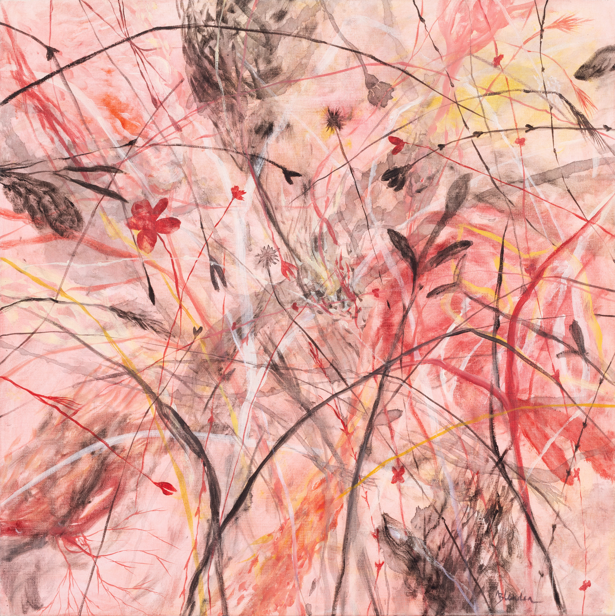 Immersion in a field of pink flowers