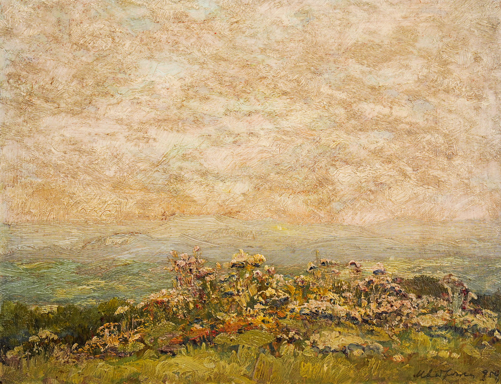 Summer landscape