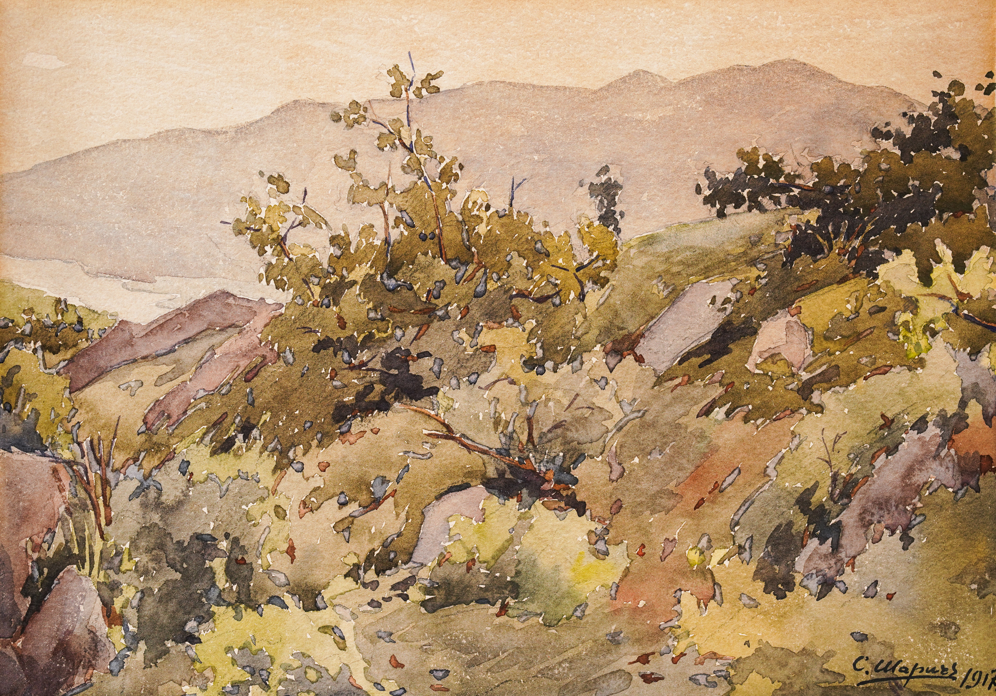 Forest landscape