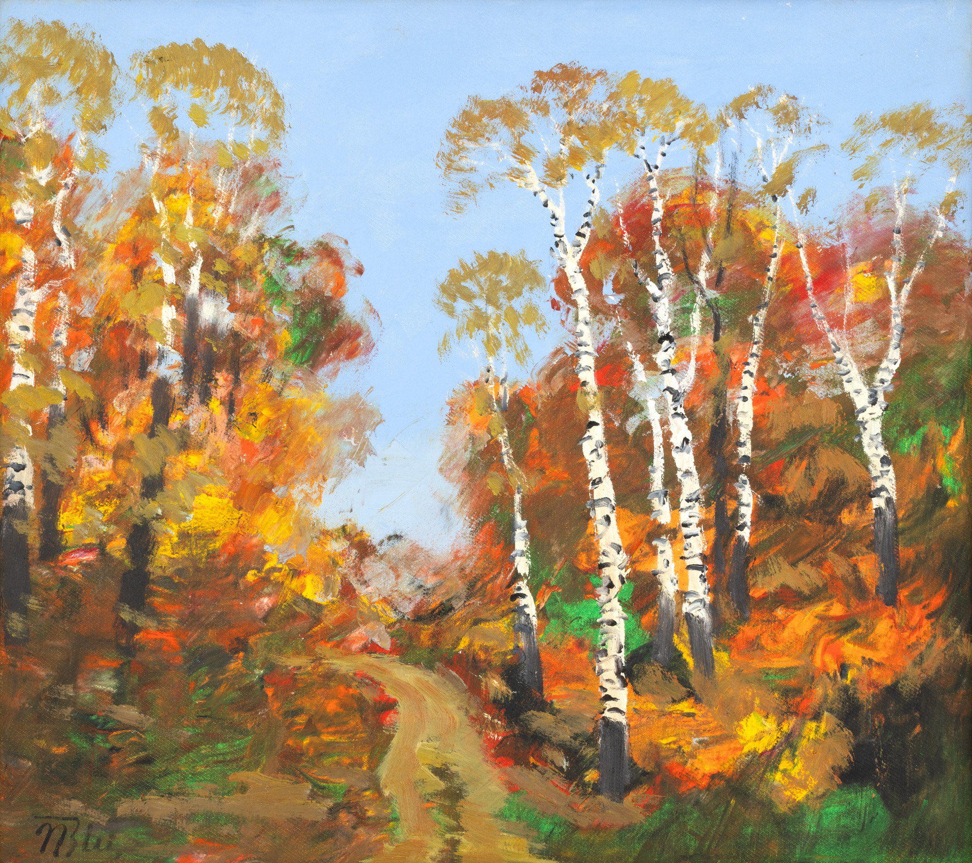Autumn in the Birch Forest
