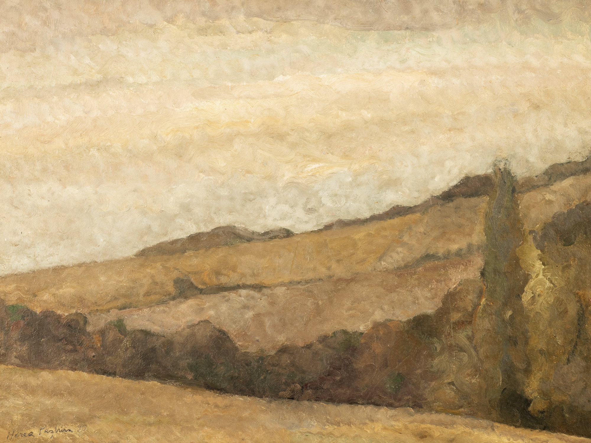Landscape from Tescani