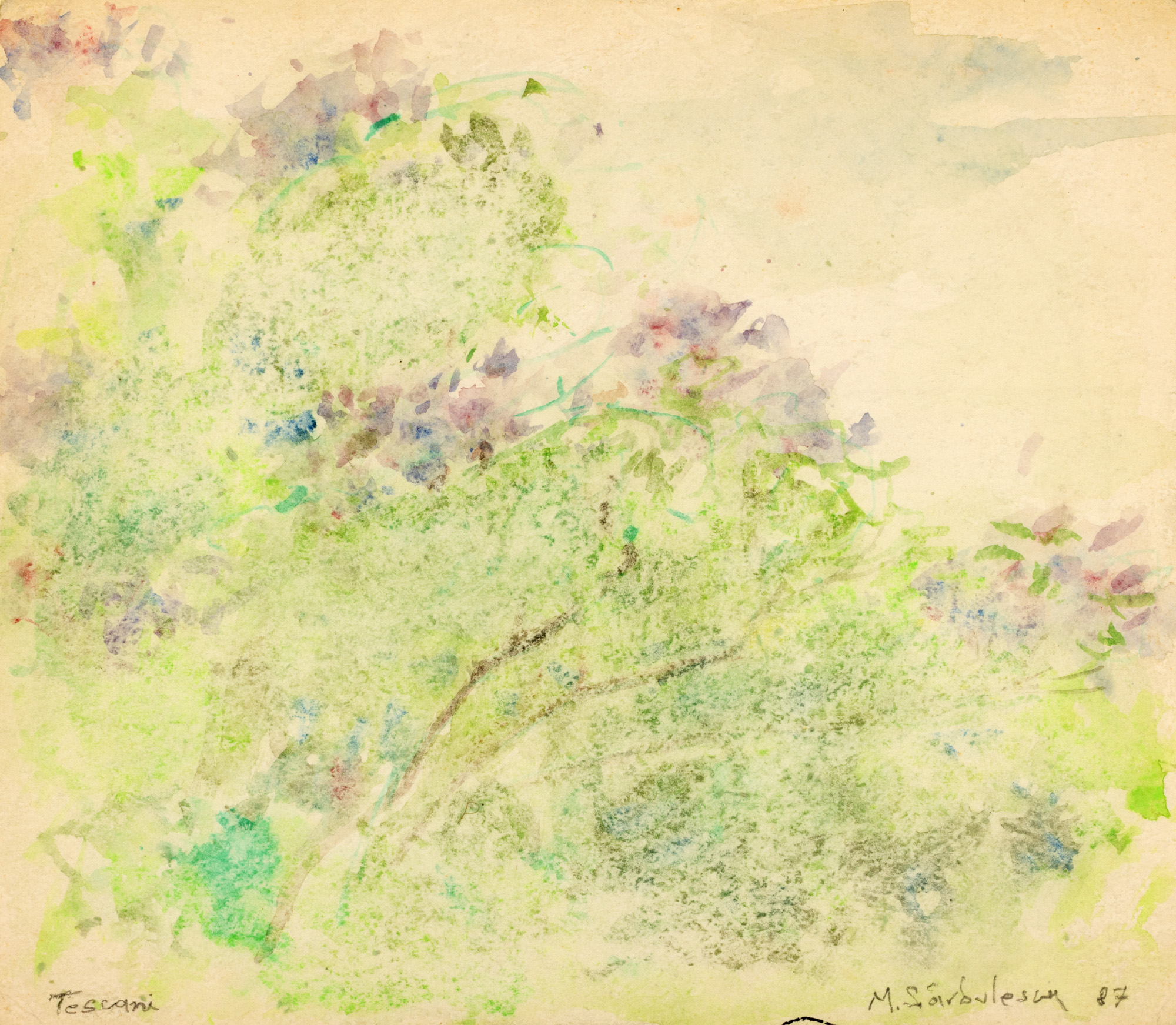 Vegetation from Tescani