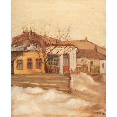 Case în strada Potcovari