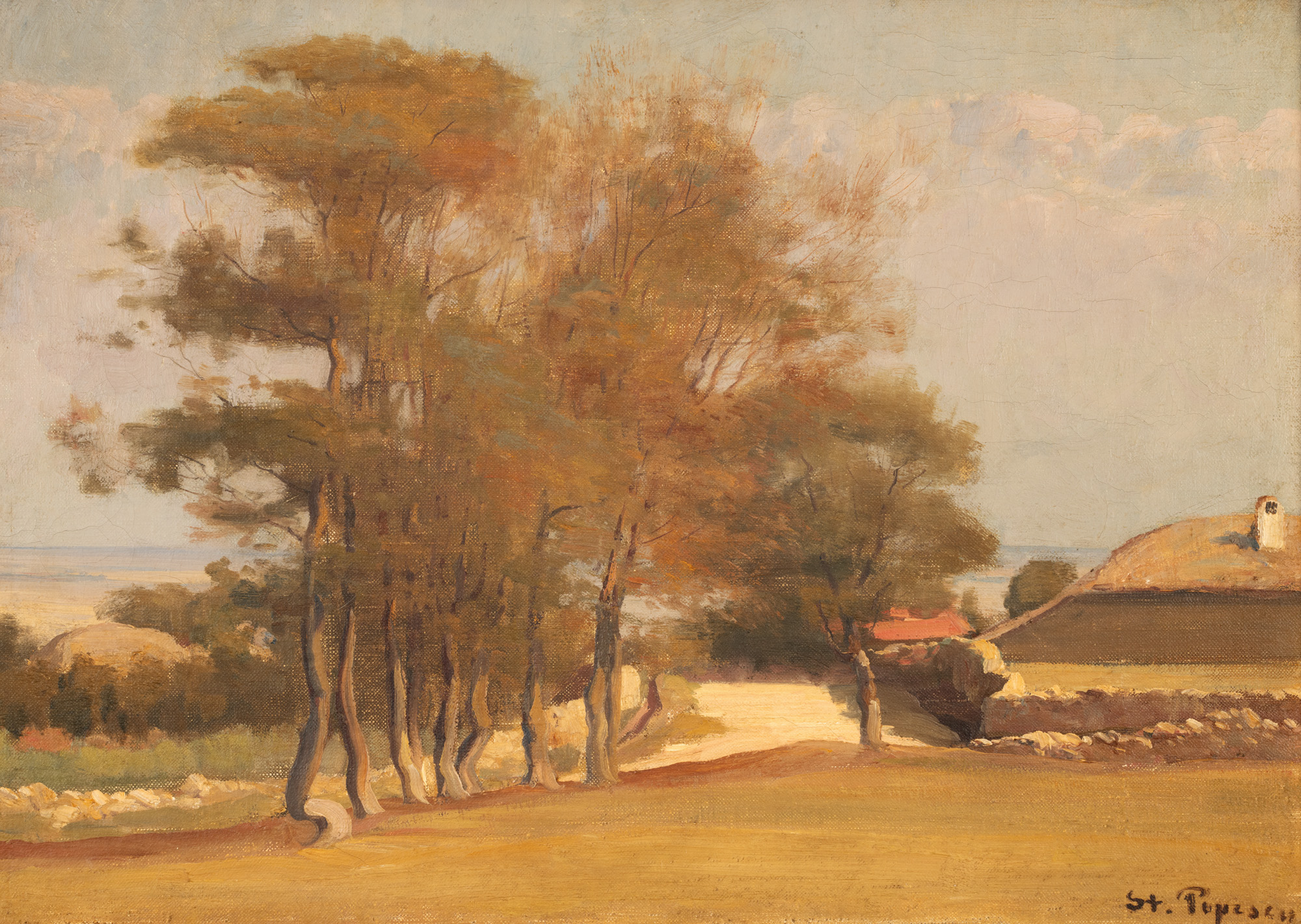 Summer Afternoon