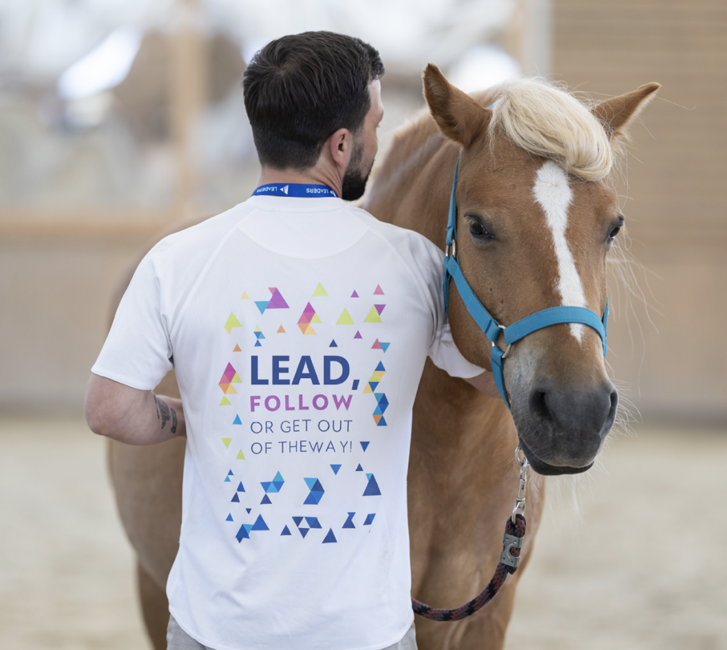 ”... de vedere - Atelierul de Perspective HorseTouch” - experiență de coaching pentru o echipă formată între 8-12 membri, pe metoda  educației ghidate de cai, la Potcoava Mountain Hideaway