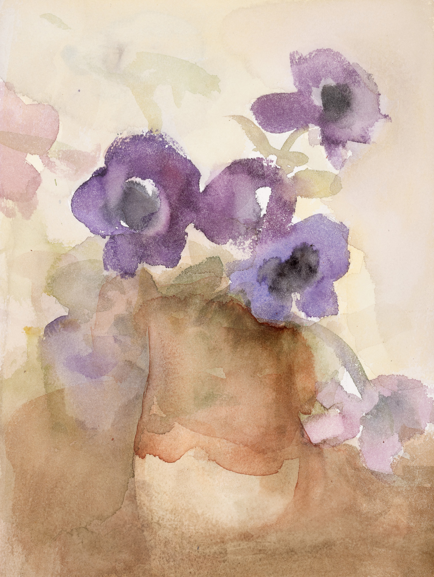 Anemone