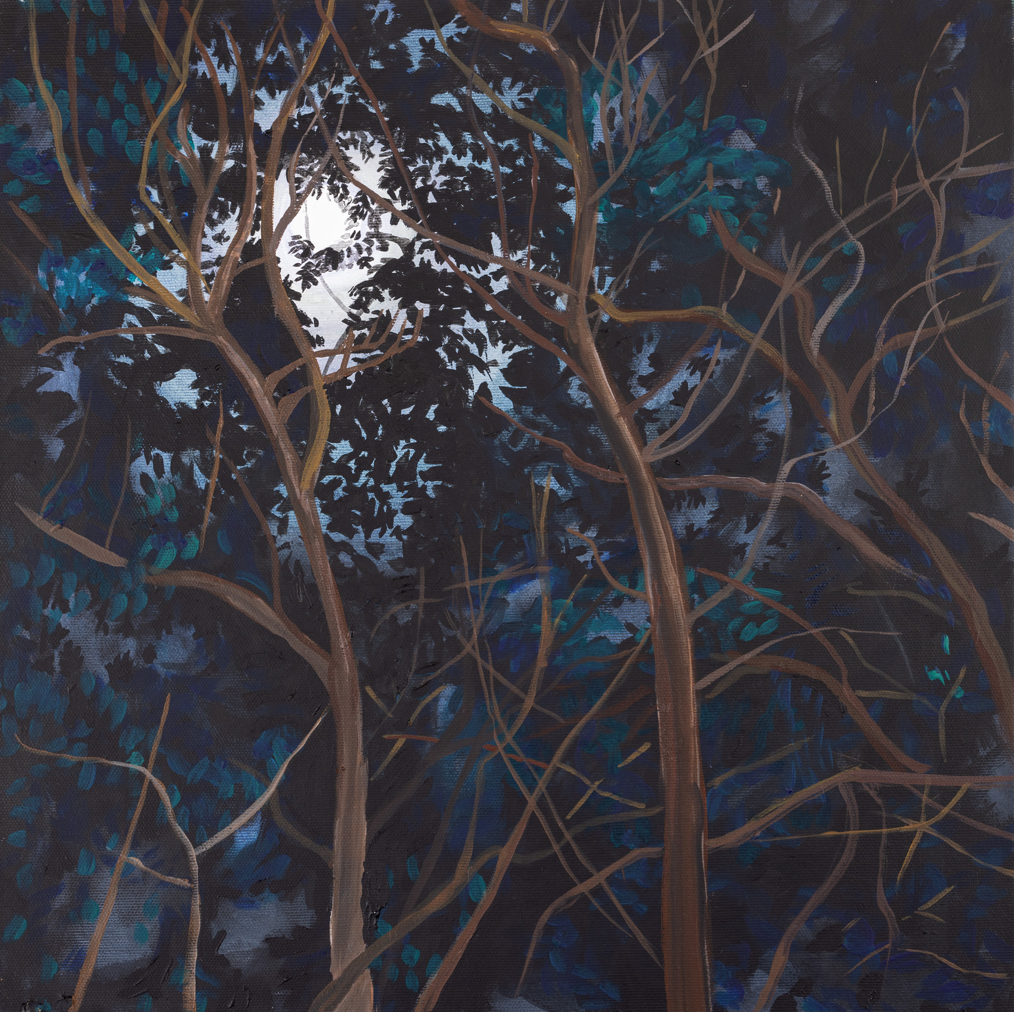 Moon