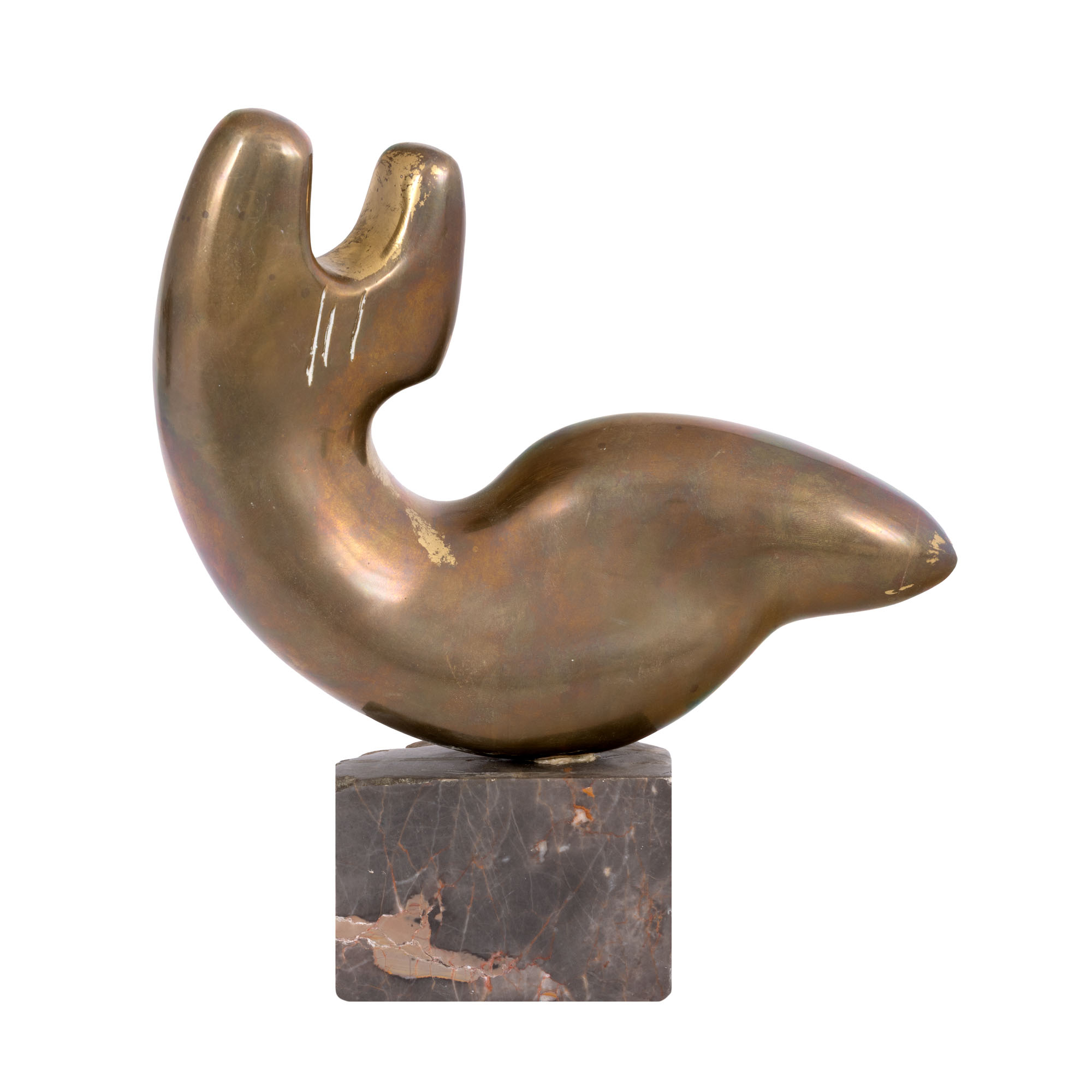 Euterpe